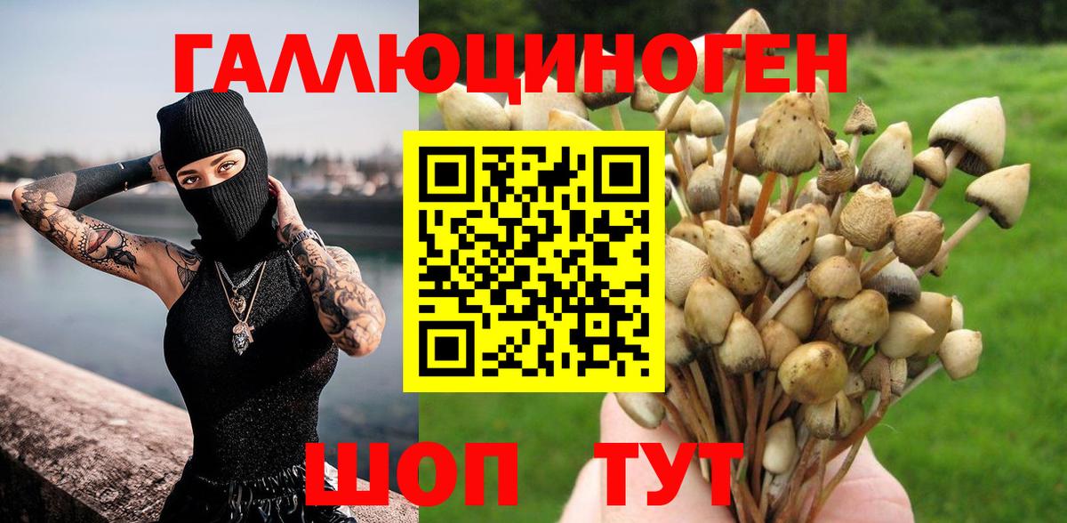 Псилоцибиновые грибы ЛСД Коммунар