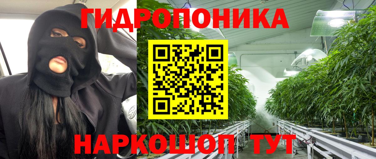 Бошки Шишки SATIVA & INDICA  Конопля тримм  МАРИХУАНА сатива  Коммунар  Вход с VPN 